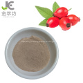 vitamin C/vc 45% rose hip extract powder